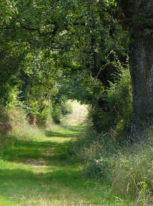 Sentier En Balette