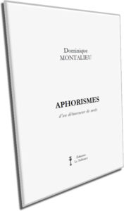 Aphorismes d'un détourneur de mots